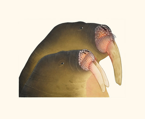 2025 PRINT Dorset Collection by PAUOJOUNGIE SAGGIAK *Mother with Calf*