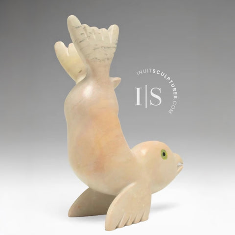 5" Seal Transformation by Toonoo Sharky *Look At Me, Mom!*