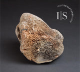 VINTAGE 9" Shaman Face by Judas Ullulaq RCA *Perry*