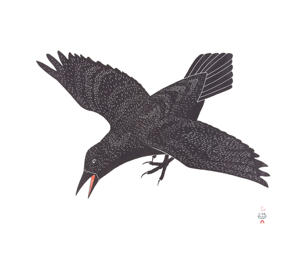 2019 Speciial Release, Raven’s Alarm, 2001 by KANANGINAK POOTOOGOOK