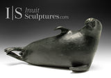 15" Relaxing Seal by Paul Malliki *Slippery As..* CURATOR'S CHOICE