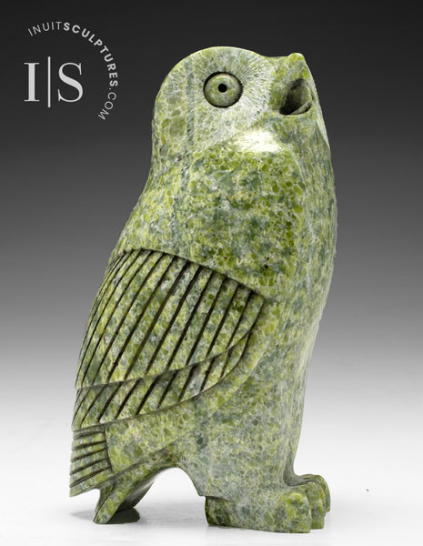 8" SIGNATURE Owl by Pits Qimirpik *Fleeting Green*