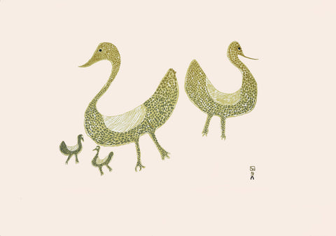 2018 Spring Release Family of Birds, 1965 by SHARNI POOTOOGOOK