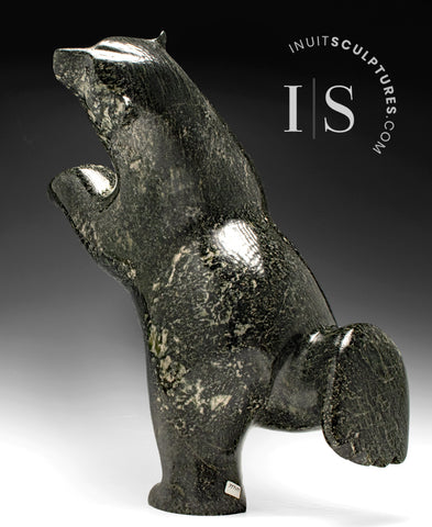 17" SIGNATURE Dancing Bear by Ashevak Adla