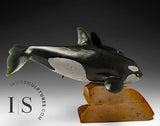 RESERVED** 10" SIGNATURE Orcas by Derrald Taylor *Family Fun*