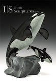 14" SIGNATURE Mother & Calf Orcas Derrald Taylor *Determination*