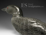 23" SIGNATURE Red Eye Loon by Jimmy Iqaluq *