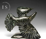 10" Soaring Bird by Kelly Etidloie *On Manoeuvres*