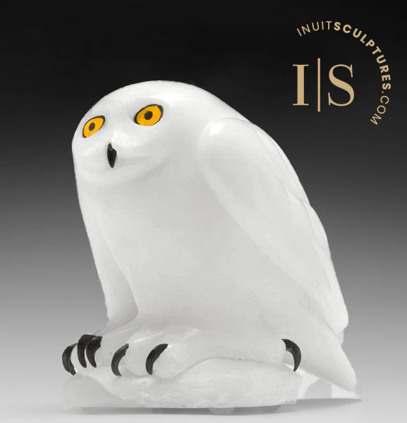 8" SIGNATURE White Owl by Elite Carver Manasie Akpaliapik *Pure Innocence*