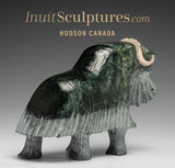 7" Muskox by Willie Kolola *Felix*