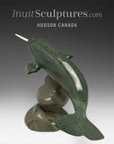 8" Narwhal by Jimmy Iqaluq *Toothy Grin*