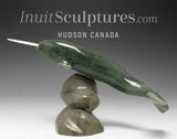 8" Narwhal by Jimmy Iqaluq *Toothy Grin*