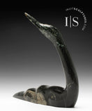 11" SIGNATURE Loon by Ning Ashoona *Sarah*