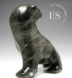 15" Walking Bear by Elite Carver Nuna Parr *Parker*