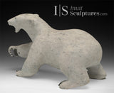 12" Polar Bear by Paul Malliki *Swipe Left*
