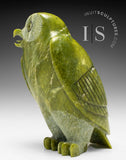 THE VERY LAST ONE 8" SIGNATURE Owl by the Late Pits Qimirpik (1956-2024) *Shining Light*