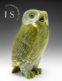 THE VERY LAST ONE 8" SIGNATURE Owl by the Late Pits Qimirpik (1956-2024) *Shining Light*