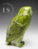 THE VERY LAST ONE 8" SIGNATURE Owl by the Late Pits Qimirpik (1956-2024) *Irish Eyes*