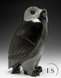 10" SIGNATURE Owl by Pits Qimirpik *Clooney* CURATOR'S CHOICE