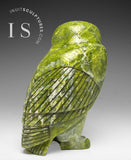 THE VERY LAST ONE 8" SIGNATURE Owl by the Late Pits Qimirpik (1956-2024) *Irish Eyes*