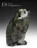 8" SIGNATURE Owl RARE Grey Stone by Pits Qimirpik *Brigadier*