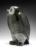 8" SIGNATURE Owl RARE Grey Stone by Pits Qimirpik *Brigadier*