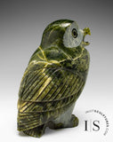 7" SIGNATURE Owl by Pits Qimirpik *Paul*