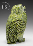 8" SIGNATURE Owl by Pits Qimirpik *Fleeting Green*