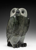 8" SIGNATURE Owl RARE Grey Stone by Pits Qimirpik *Brigadier*