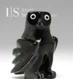 4" SIGNATURE Owl by Sam Qiatsuk *Little Sam #2*