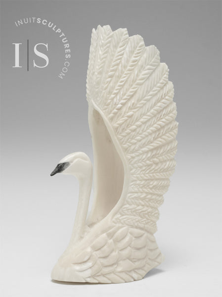 7" Majestic Swan by Harrison Miklahook Jr. *The Commodore*
