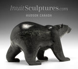 8.5" SIGNATURE Walking Bear by Tim Pee *Sarasota*