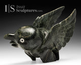 16" SIGNATURE Bird Spirit by Toonoo Sharky RCA *Mirth*