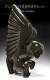 26" SIGNATURE Dancing Owl by Toonoo Sharky *Burning the Midnight Oil*