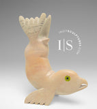 5" Seal Transformation by Toonoo Sharky *Look At Me, Mom!*