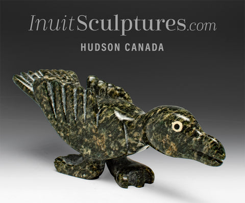 6" Raven by Toonoo Sharky *Raven Happy*