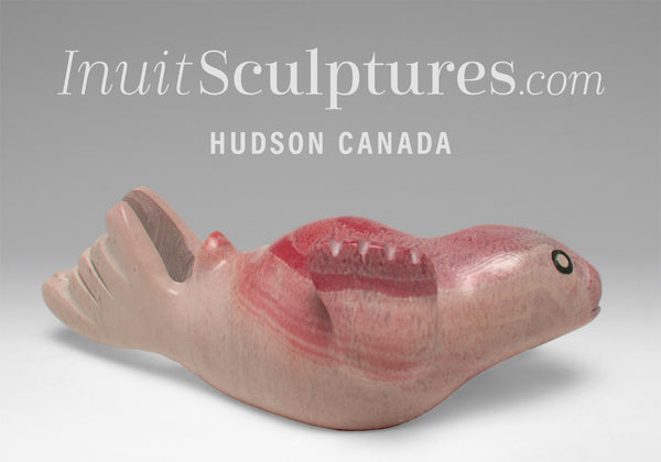 6" Seal by Toonoo Sharky *Chin Up*