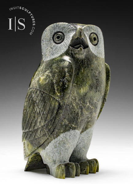 8" SIGNATURE Owl by Pitseolak Qimirpik *Irish*