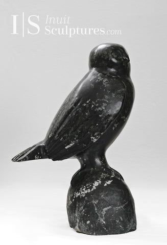 14"  Perched Owl by Louie Uttaq Gjoa Haven *Hooty*