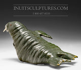 13" Dark Green Basking Walrus by Famous Jimmy Iqaluq