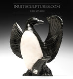 13" Murre Bird by Kellypalik Etidlooie