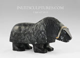 10"  Muskox by Louie Uttaq  Gjoa Haven *Tank*