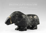 10"  Muskox by Louie Uttaq  Gjoa Haven *Tank*