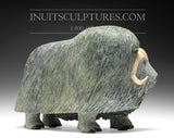 17" Muskox by Lucassie Ikkidluaq *Leading the Herd*