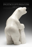 18" Curious Bear by World Famous Manasie Akpaliapik