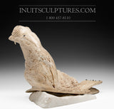 14" Walrus in Baleen by World Famous Manasie Akpaliapik