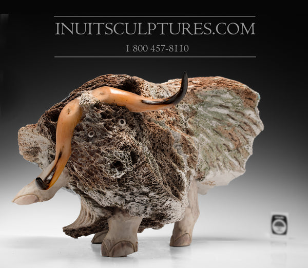 18" Muskox in Baleen Whale Bone by World Famous Manasie Akpaliapik