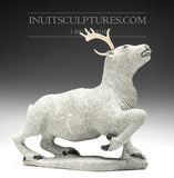 11" Caribou by Natar Ungaluq *Young Tundra King*