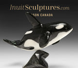 7" SIGNATURE Orca by Johnnysa Mathewsie  *Speed of Light*