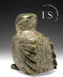 10" SIGNATURE Owl by Sam Qiatsuk *Izzy*